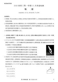 2026届华师联盟高三上学期11月期中联考物理试题+答案