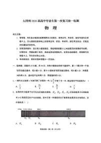 云南省大理州2026届高三上学期高考一模物理试题（含答案）