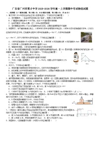 广东省广州市育才中学2025-2026学年高一上学期期中考试物理试题