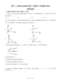 2025北京顺义一中高二（上）期中物理（教师版）试卷