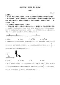 山东省临沂市2026届高三11月教学质量检测物理含答案解析
