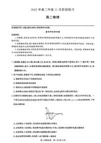 湖北圆创联考2025-2026学年高二上学期11月期中物理试卷（含答案）