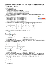 安徽省蚌埠市固镇县第二中学2024-2025学年高二下学期期中物理试卷-A4
