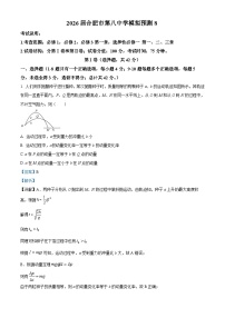 安徽省合肥市第八中学2026届高三上学期模拟预测物理试卷（Word版附解析）