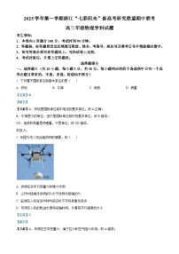浙江省”七彩阳光“新高考研究联盟2025-2026学年高二上学期期中联考物理试卷（Word版附解析）