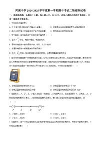 广东省汕头市潮阳区河溪中学2024-2025学年高二上学期11月期中物理试题（含详细解析）