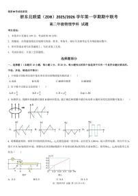 浙江省浙东北县域名校发展联盟2025-2026学年高二上学期11月期中联考试题物理试卷（含答案）