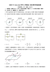 安徽省合肥市第六中学2024-2025学年高二上学期期末物理试题（原卷版）-A4