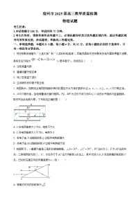 安徽省宿州市2024-2025学年高三上学期期末教学质量检测物理试题（原卷版）-A4