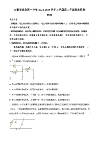 安徽省阜阳市临泉县第一中学2024-2025学年高二上学期1月期末物理试题（原卷版）-A4