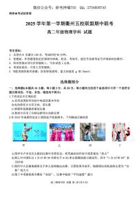 浙江衢州五校联盟2025年11月高二上学期期中联考物理试卷（含答案）