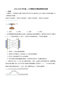 四川省乐山市重点高中2024-2025学年高二上学期期末质量监测物理试卷 （哈答案）