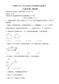 安徽省合肥市普通高中2024~2025学年高二上学期期末总复习物理测试卷-A4