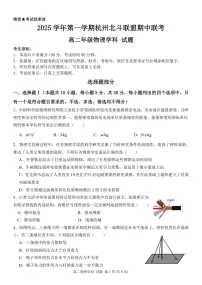 浙江省杭州北斗联盟2025-2026学年高二上学期11月期中联考试题物理试卷（含答案）
