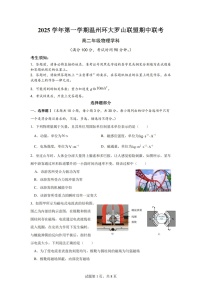 浙江省温州环大罗山联盟2025-2026学年高二上学期11月期中考试物理试卷