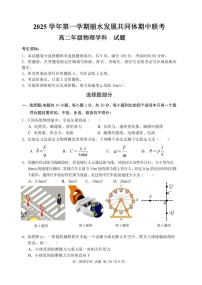 浙江省丽水发展共同体2025-2026学年高二上学期11月期中考试物理试卷