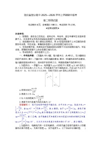湖北省部分高中联考2025-2026学年高二上学期11月期中物理试卷（含答案）
