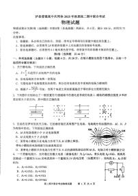四川省泸州市泸县普通高中共同体2025-2026学年高二上学期11月期中物理试卷（含答案）