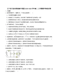 辽宁省大连市滨城高中联盟2025-2026学年高二上学期期中考试物理试卷（含解析）含答案解析