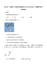 浙江省”七彩阳光“新高考研究联盟2025-2026学年高二上学期期中联考物理试卷（含解析）含答案解析