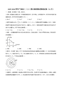 2025-2026学年广西高三（上）联合调研测试物理试卷（11月）（含答案）