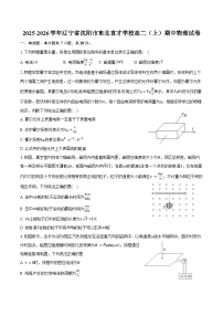 2025-2026学年辽宁省沈阳市东北育才学校高二（上）期中物理试卷（含答案）