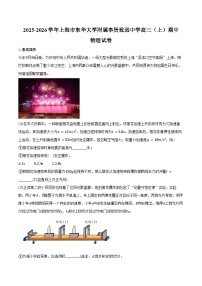 2025-2026学年上海市东华大学附属奉贤致远中学高三（上）期中物理试卷（含答案）