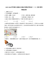 2025-2026学年浙江省丽水市丽水发展共同体高二（上）期中联考物理试卷（11月）（含答案）