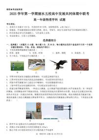 浙江省丽水发展共同体2025-2026学年高一上学期11月期中物理试卷（含答案）