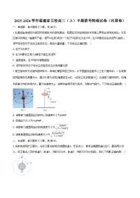 2025-2026学年福建省百校高三（上）半期联考物理试卷（巩固卷）（11月）（含答案）