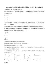 2025-2026学年上海市华东师大二附中高三（上）期中物理试卷（含答案）