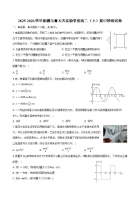2025-2026学年新疆乌鲁木齐实验学校高二（上）期中物理试卷（含答案）