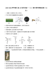 2025-2026学年浙江省A9协作体高一（上）期中联考物理试卷（11月）（含答案）