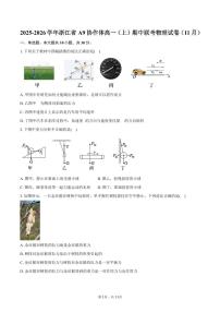 2025-2026学年浙江省A9协作体高一（上）期中联考物理试卷（11月）（含答案）