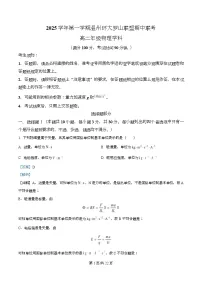 浙江省温州环大罗山联盟2025-2026学年高二上学期11月期中物理试卷（Word版附解析）