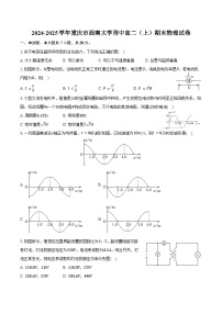 2024-2025学年重庆市西南大学附中高二（上）期末物理试卷（含答案）
