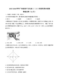 2025-2026学年广东省纵千文化高三（上）阶段性联合检测物理试卷（12月）（含答案）