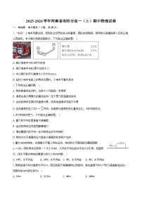 2025-2026学年河南省洛阳市高一（上）期中物理试卷（含答案）