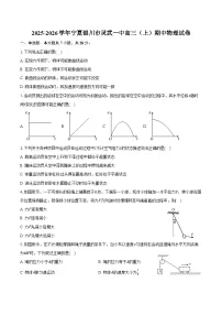 2025-2026学年宁夏银川市灵武一中高三（上）期中物理试卷（含答案）