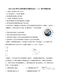 2025-2026学年山东省青岛市城阳区高三（上）期中物理试卷（含答案）