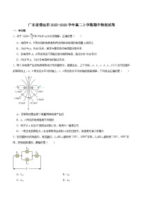 广东省清远市2025-2026学年高二上学期期中考试物理试题（Word版附答案）