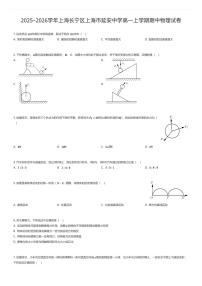 2025~2026学年上海长宁区上海市延安中学高一上学期期中物理试卷（有答案解析）