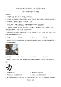 浙江省G5联盟2025-2026学年高二上学期11月期中物理试卷（Word版附解析）