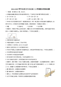 2024-2025学年北京市丰台区高三上学期期末物理试题（含答案）