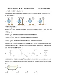 2025-2026学年广东省广州市番禺中学高二（上）期中物理试卷（含答案）