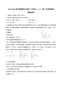2025-2026学年湖南武冈市第十中学高三（上）第二次学情调研物理试卷（含答案）