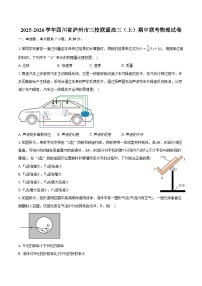 2025-2026学年四川省泸州市三校联盟高三（上）期中联考物理试卷（11月）（含答案）