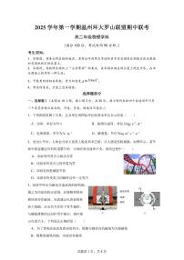 浙江省环大罗山联盟2025-2026学年高二上学期11月期中物理试卷（含答案）