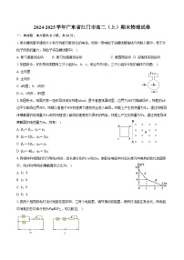 2024-2025学年广东省江门市高二（上）期末物理试卷（含解析）