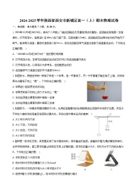 2024-2025学年陕西省西安市新城区高一（上）期末物理试卷（含解析）